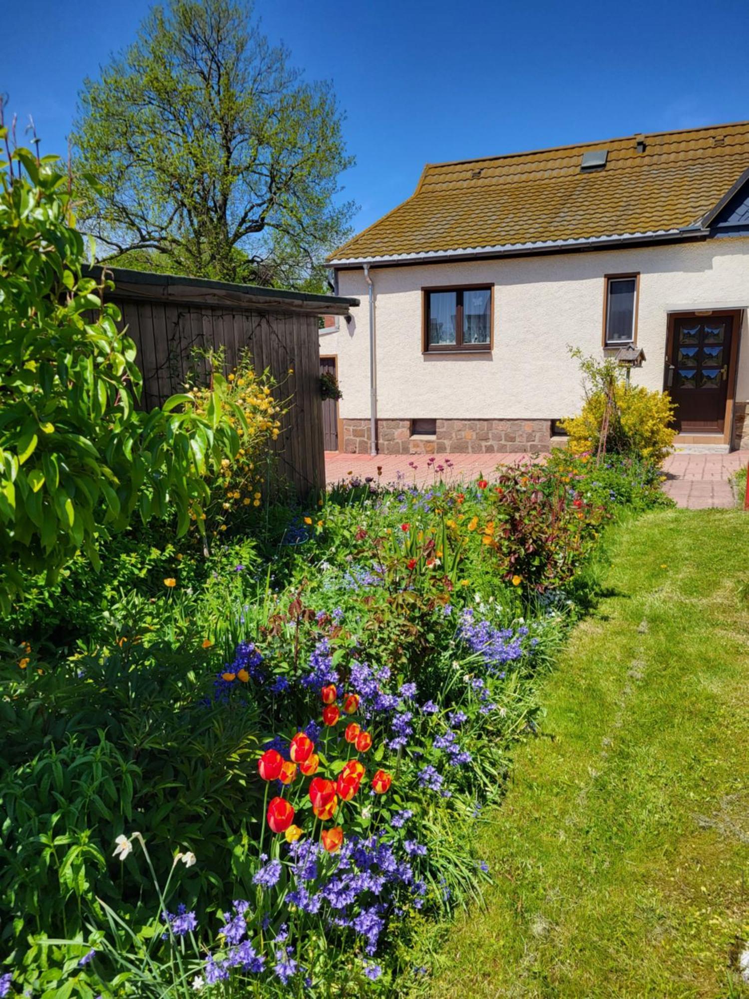 Ferienhaus Keppler Im Erzgebirge Sayda Exterior foto